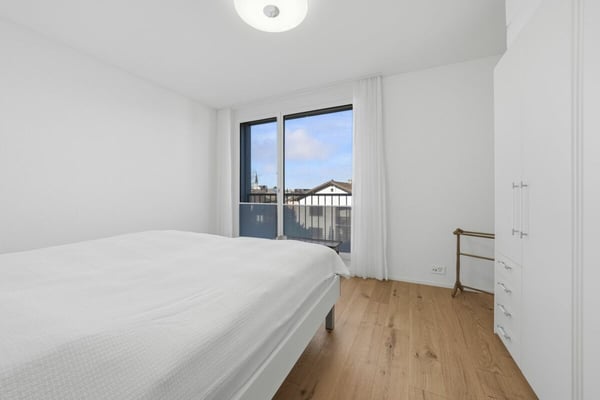 Stilvolle Attikawohnung mit riesiger Terrasse und einmaliger Aussicht in Diepoldsau 15