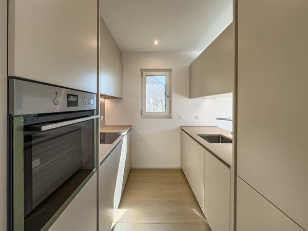 Nuovo e moderno attico in vendita a Mendrisio 2