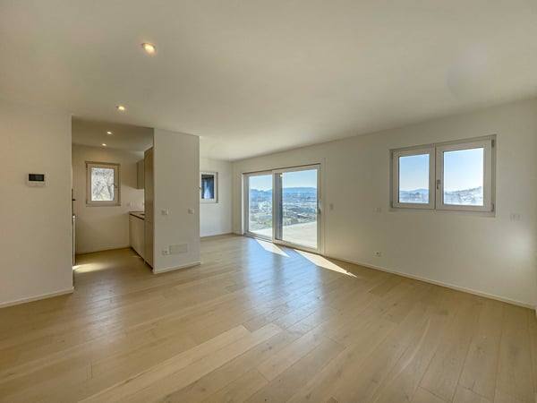 Nuovo e moderno attico in vendita a Mendrisio 1