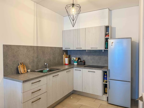 Moderno 1.5 locali vicino al centro città 2