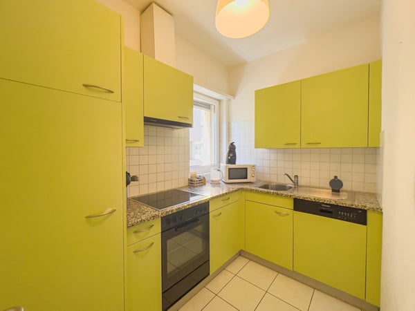 1.5 locali a Lugano in zona centrale e a poca distanza dal lago 3