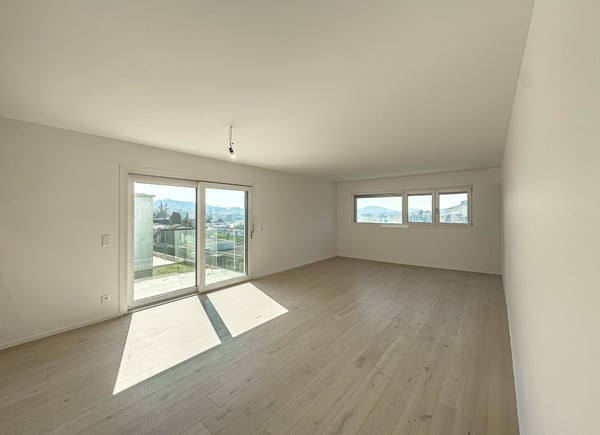 Appartamento 1.5 locali con giardino e locale hobby a Mendrisio 1