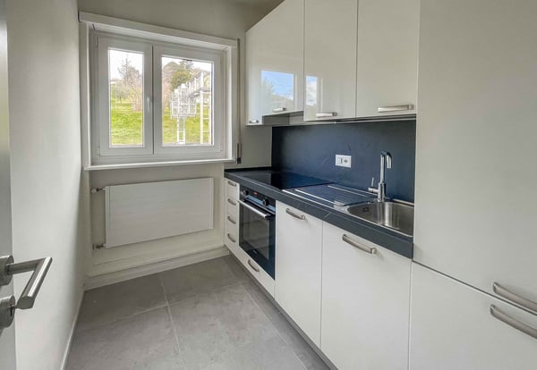 1.5 locali con splendida vista lago a Lugano 3