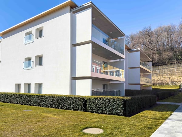 1.5 locali con ampio giardino a Caslano 7