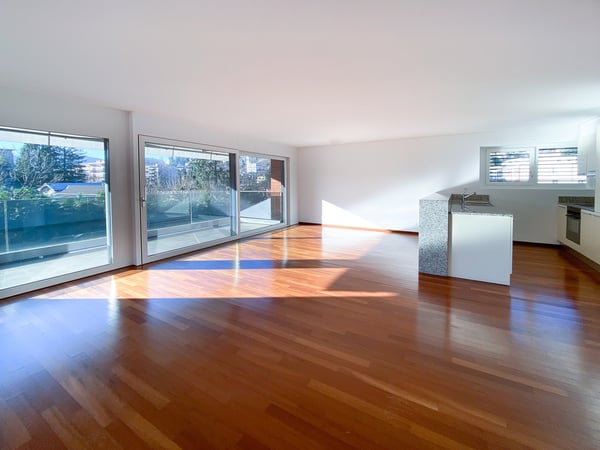 Ampio 3.5 locali con terrazzo ad Agno 2