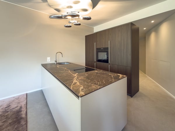 Attico vista lago 3.5 locali in affitto a Lugano 2
