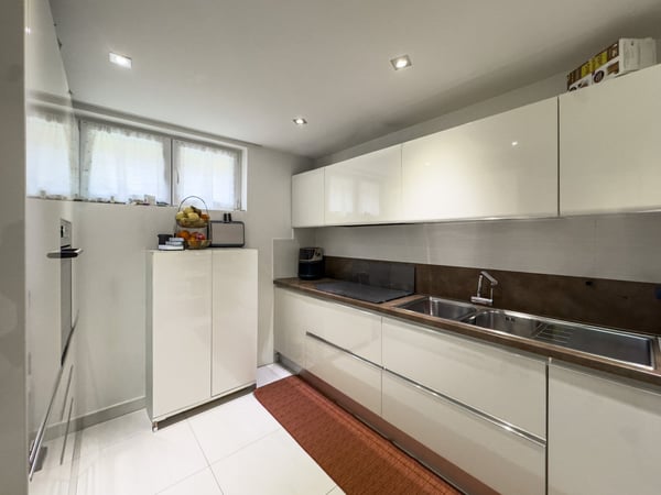 Casa bifamiliare con giardino a Canobbio 3