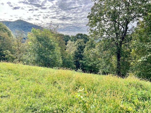 Bel terreno edificabile in posizione soleggiata e tranquilla esposta a 4