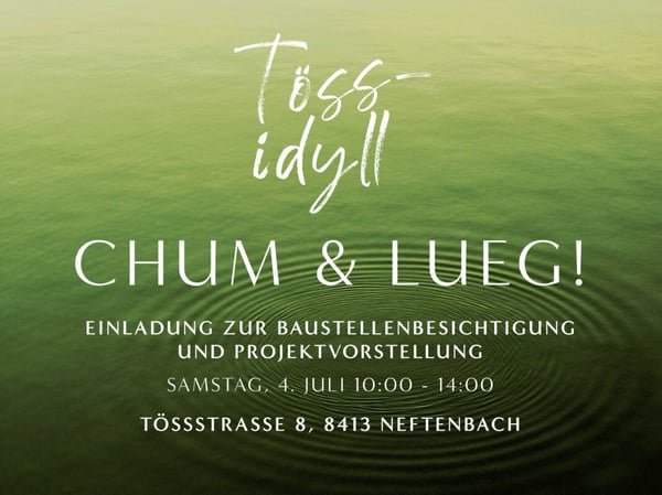 4½-Zimmer Etagenwohnung im Tössidyll 1