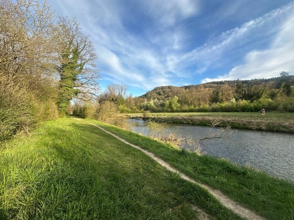 2½-Zimmer Attikawohnung - Mit Blick ins Grüne und in die Abendsonne. 8