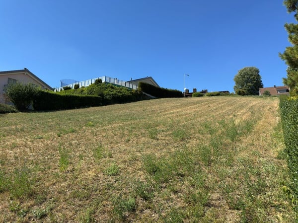 Bauland an top Aussichtslage in Buchs ZH 2