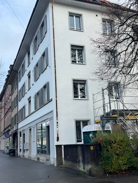 Erstvermietung nach Totalsanierung mit grosser Terrasse 3