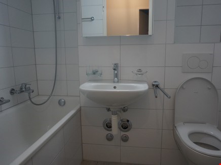 Neu renovierte 2-Zimmerwohnung Nähe Rheinpromenade 5