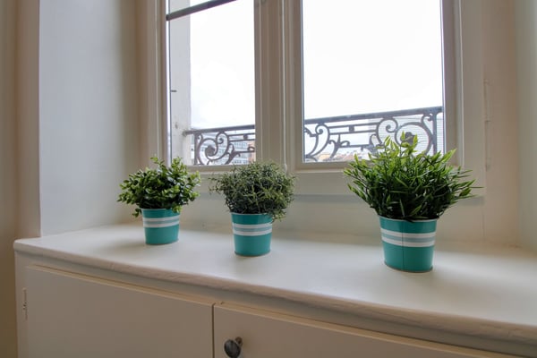 Magnifique appartement meublé en colocation, hypercentre de Genève 7