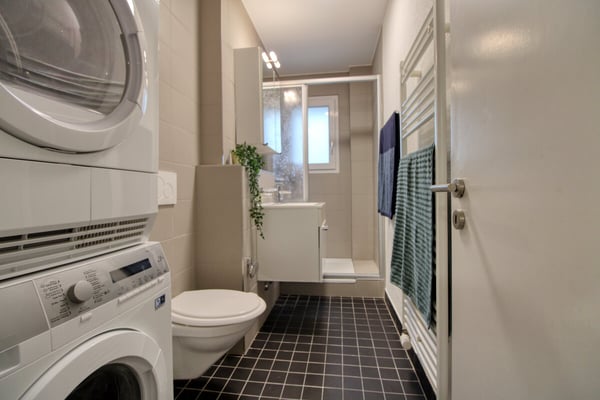 Möbliertes WG-Zimmer in Basel 13