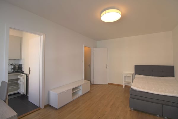 Modern eingerichtetes Studio in Schaffhausen 1