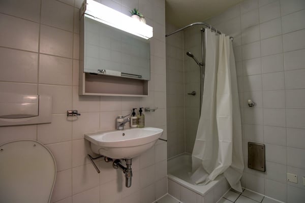 Coliving Élégant avec Confort, Espace et Verdure à Genève-Champel 18