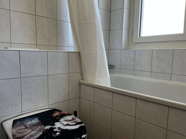 Helle, renovierte Wohnung ideal für junge Berufstätige 26