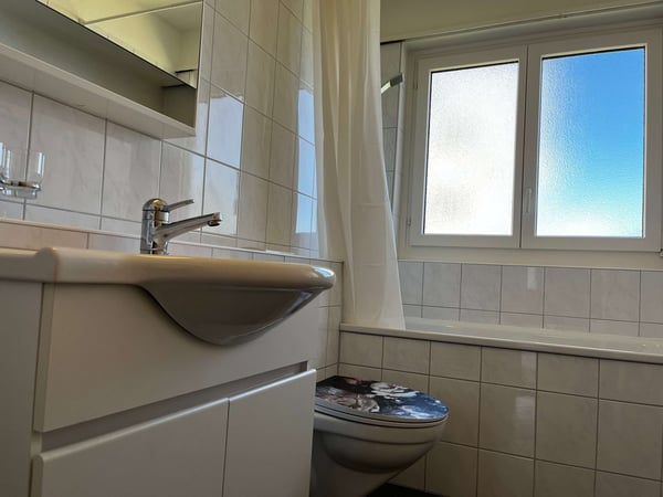 Helle, renovierte Wohnung ideal für junge Berufstätige 28