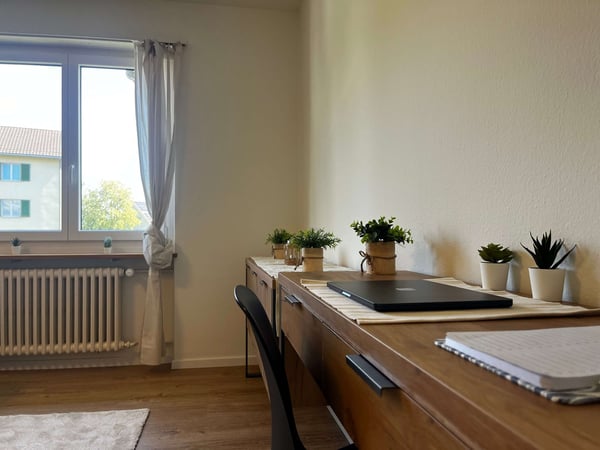 Helle, renovierte Wohnung ideal für junge Berufstätige 12