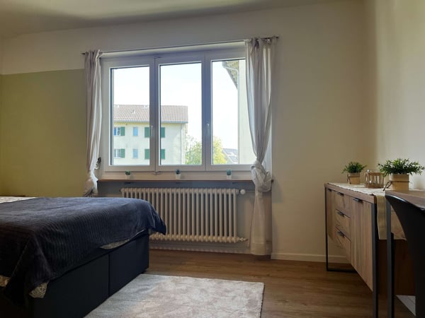 Helle, renovierte Wohnung ideal für junge Berufstätige 2