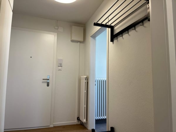 Helle, renovierte Wohnung ideal für junge Berufstätige 18