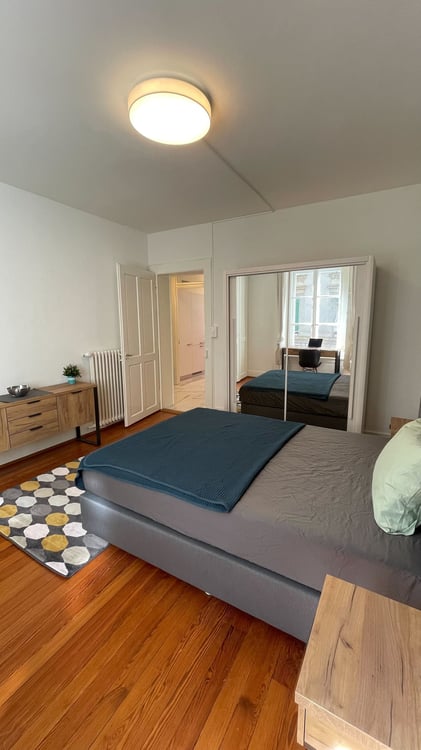 Rénové avec charme au centre de Lausanne 2