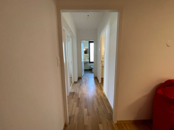 Rive droite, Vernier 19