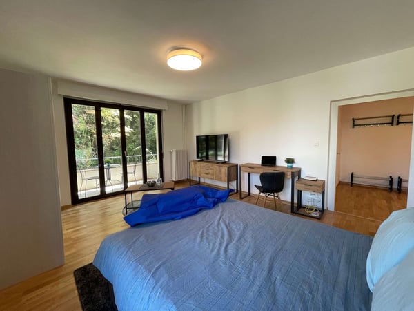 Rive droite, Vernier 1