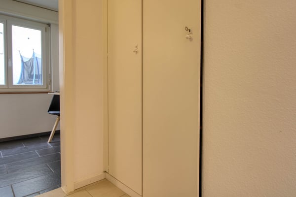 Cozy 2-Room Apartment in Zürich Altstetten 13