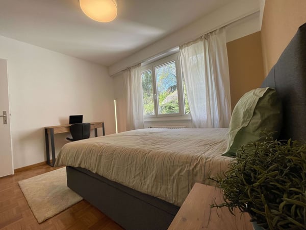 Convivialité au centre de Lausanne 5