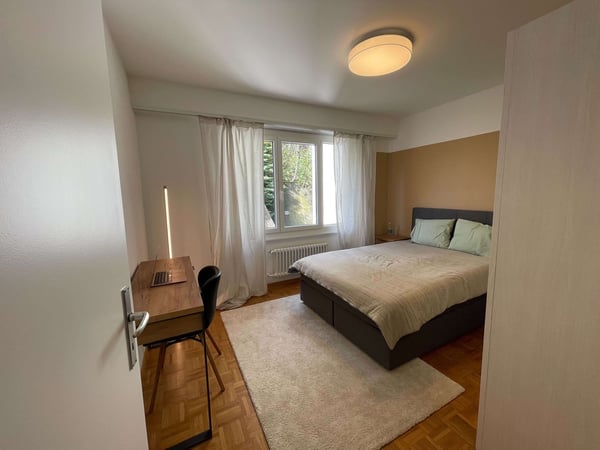 Convivialité au centre de Lausanne 1