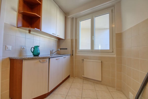 Penthouse en collocation au centre de Lausanne 27