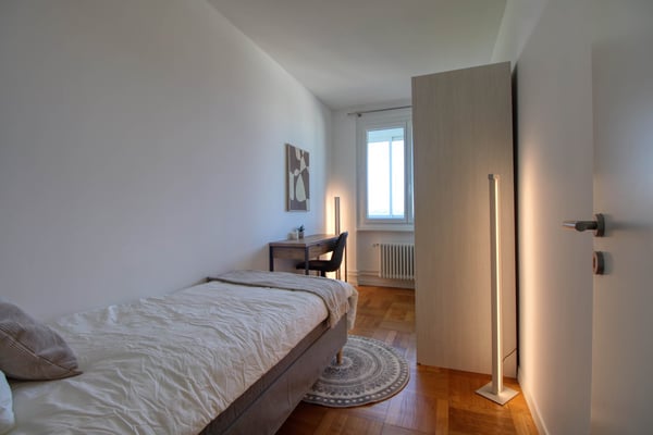Spacious Coliving with Great Connections in Chêne-Bourg 4