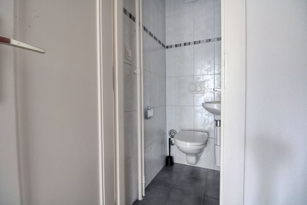 Coliving charmant dans la paisible Avenue de Béthusy à Lausanne 11