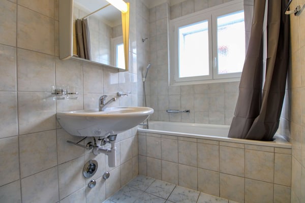 Coliving charmant dans la paisible Avenue de Béthusy à Lausanne 25
