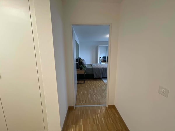 Expérience Élégance Urbaine: Ton Paradis de Coliving à Genève 12