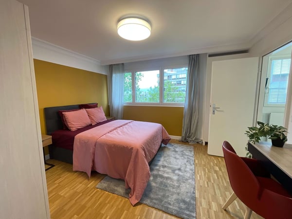 Expérience Élégance Urbaine: Ton Paradis de Coliving à Genève 6