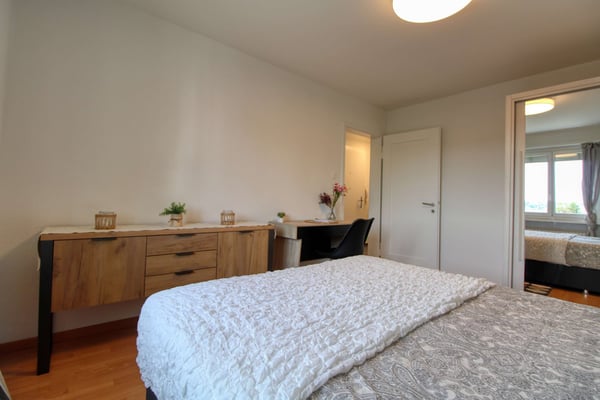 Modernes Wohnen in Dübendorf entdecken 8