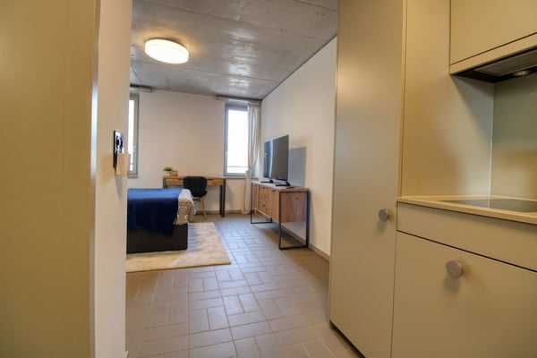 Modernes Studio mit Balkon in Schlieren – sofort verfügbar! 9