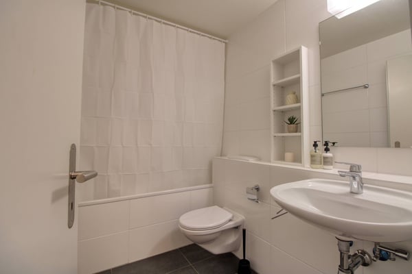 Coliving Spacieux et Confortable à Le Grand-Saconnex 17