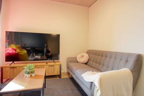 Modernes Coliving im lebhaften Schlieren 13