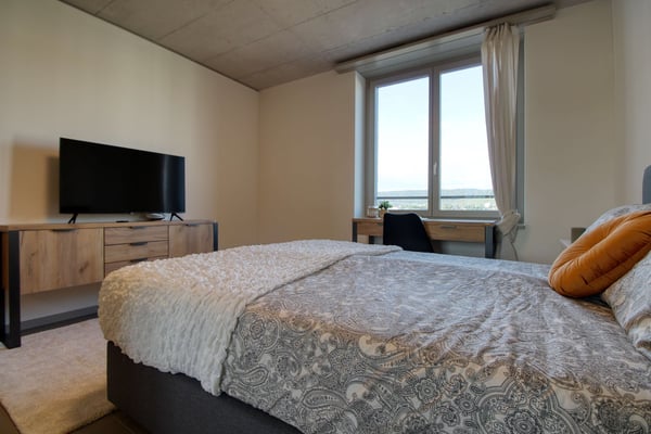 Modernes Coliving im lebhaften Schlieren 1
