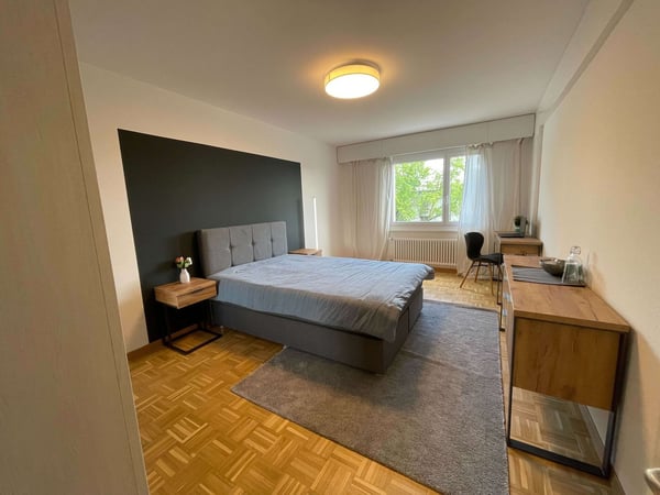 Vue dégagée au centre de Lausanne 2