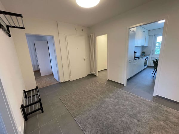 Vue dégagée au centre de Lausanne 17