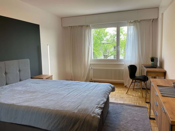 Vue dégagée au centre de Lausanne 4