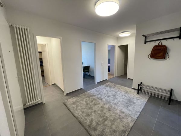 Vue dégagée au centre de Lausanne 16