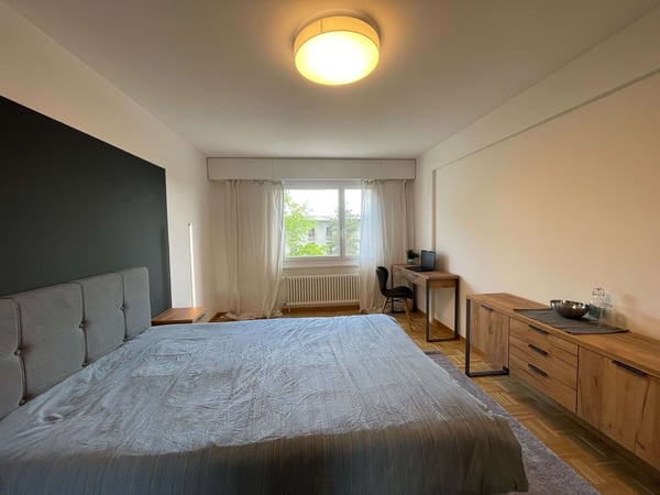 Vue dégagée au centre de Lausanne 5