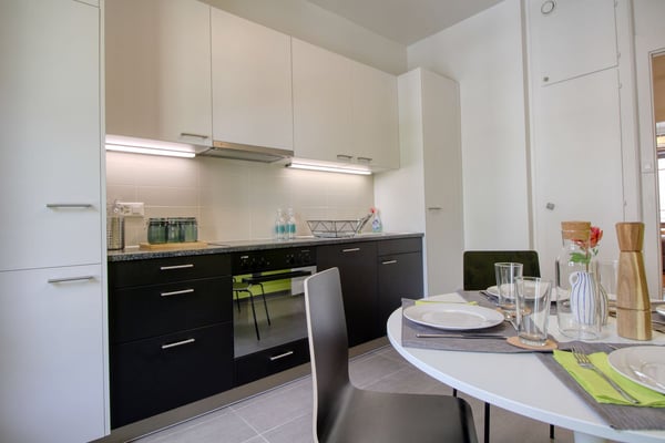 Magnifique appartement meublé en colocation, hypercentre de Genève 14