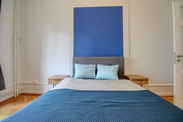 Magnifique appartement meublé en colocation, hypercentre de Genève 11